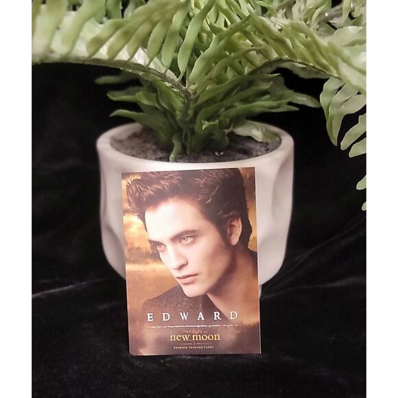 Collectible Edward Cullen New Moon Trading Card - Picture 2 of 6